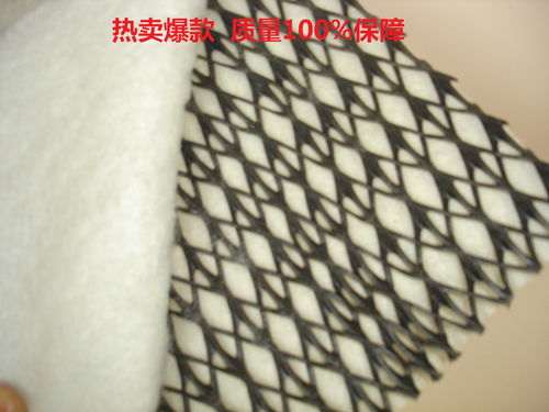 三維立體復(fù)合排水網(wǎng)土工網(wǎng) 垃圾填埋場(chǎng)的高效排水解決方案