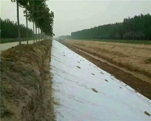 黃南300g護坡防水土工布 優質防護，當日發貨，歡迎選購與格柵搭配使用