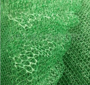 鳳凰縣高標(biāo)準(zhǔn)工程優(yōu)選 泰安路德廠家直銷專業(yè)土工網(wǎng)墊與PE膜，品質(zhì)保障熱線13305317066